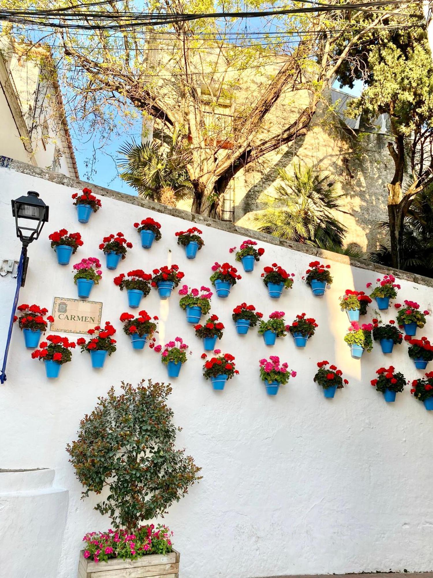 Studio Oasis In 2º Line Beach In The Centre Of Marbella - Eaw Homes Экстерьер фото